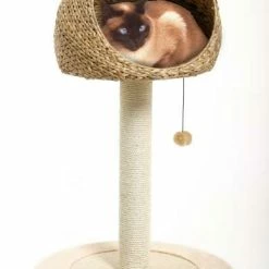 Karlie Kratzbaum Banana-Leaf II, 56x93 Cm