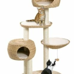 Karlie Kratzbaum Banana-Leaf III, 103x58x158cm