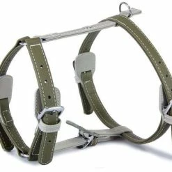 Das Lederband AMSTERDAM | Hundegeschirr