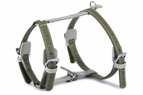 Das Lederband AMSTERDAM | Hundegeschirr 1 Das Lederband AMSTERDAM | Hundegeschirr