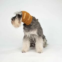 Artero Ohrenschutz Set