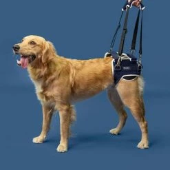 Balto Hip Displacia Brace | Hundegeschirr
