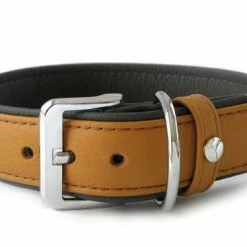 Das Lederband AMSTERDAM | Hundehalsband