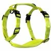 Alcott Essentials Neon Abenteuergeschirr