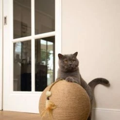 Karlie Kratzball BALTY | Designed By Lotte | Für Katzen