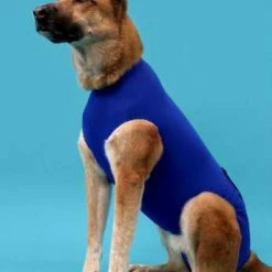 KVP Recova Shirt | Body Für Hunde