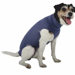 VetMedCare DOG BODY Ohne Beine | Blau | Für Hündinnen Und Rüden