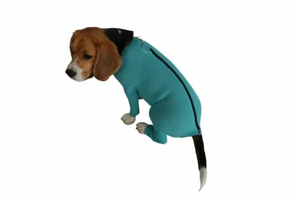 VetMedCare Dog Body | 4 Beine | Unisex Mit Reißverschluss | Grün 1 VetMedCare Dog Body | 4 Beine | Unisex Mit Reißverschluss | Grün