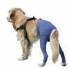 VetMedCare SAFETY PANTS | Für Hündinnen Und Rüden