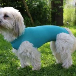 VetMedCare DOG BODY Mit Beinen | Für Hündinnen Und Rüden