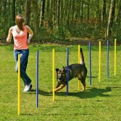 Karlie Agility Slalom-Set