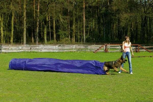 Karlie Agility Tunnel Mit Sack, 500x60 Cm 1 Karlie Agility Tunnel Mit Sack, 500x60 Cm