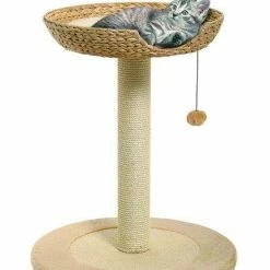 Karlie Kratzbaum Banana-Leaf I, D: 56x68cm