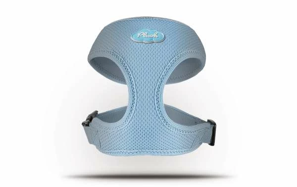 Curli Vest Hundegeschirr Basic Air-Mesh | Für Kleine Und Mittlere Hunde 1 Curli Vest Hundegeschirr Basic Air-Mesh | Für Kleine Und Mittlere Hunde