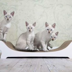 Cat-On Le Canapé | 745 X 150 X 310 Mm | Katzenmöbel