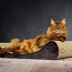 Cat-On Le Divan | 750 X 140 X 325 Mm | Katzenmöbel