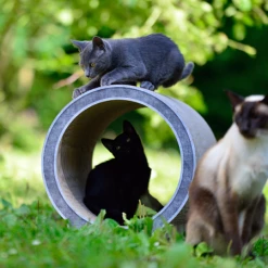 Cat-On Le Rond | 390 X 390 X 540 Mm | Katzenmöbel