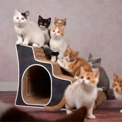 Cat-On Lescalier | 500 X 400 X 500 Mm | Katzenmöbel