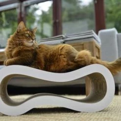 Cat-On Singha M | 620 X 240 X 260 Mm | Katzenmöbel