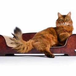 Cat-On Vertige | 750 X 170 X 310 Mm | Katzenmöbel