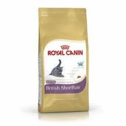 Royal Canin Kitten | British Kurzhaar