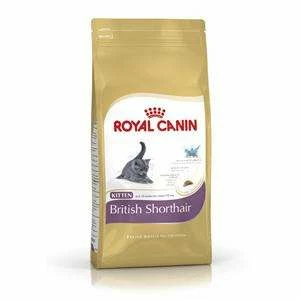 Royal Canin Kitten | British Kurzhaar 1 Royal Canin Kitten | British Kurzhaar