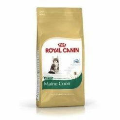 Royal Canin Maine-Coon 36 | Kitten