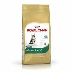 Royal Canin Maine-Coon 36 | Kitten 1 Royal Canin Maine-Coon 36 | Kitten