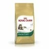Royal Canin Maine-Coon 31