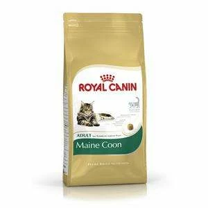 Royal Canin Maine-Coon 31 1 Royal Canin Maine-Coon 31