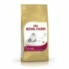 Royal Canin Persian 30