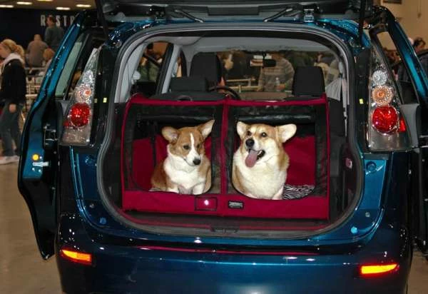 Sturdi Car-Go Shelter 1 Sturdi Car-Go Shelter