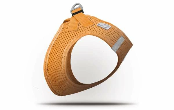 Curli Vest Hundegeschirr Air-Mesh | Für Kleine Und Mittlere Hunde 1 Curli Vest Hundegeschirr Air-Mesh | Für Kleine Und Mittlere Hunde